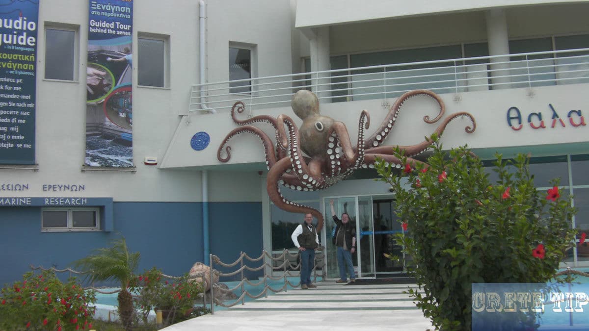 In front of the Crete Aquarium.