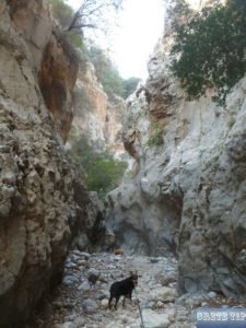 Kritsa Canyon